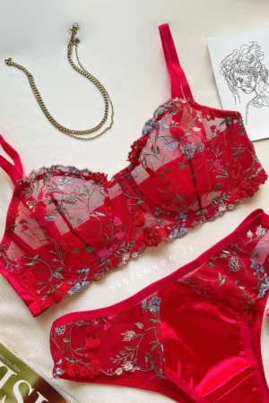 Red Floral Embroidered Sheer Mesh Lingerie Set