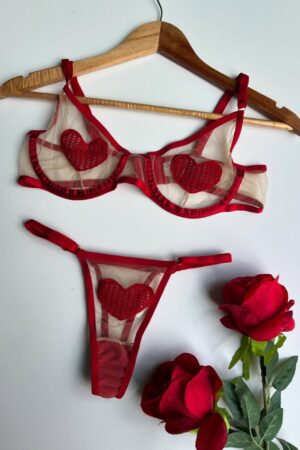 Midnight Hearts: Sheer Mesh & Black Appliqué Lingerie Set